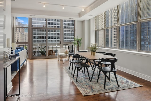 dining room with hardwood / wood-style flooring, track lighting, floor to ceiling windows, and a tray ceiling