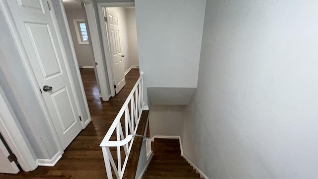 staircase with wood-type flooring