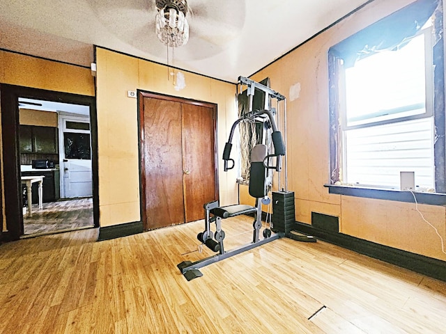 exercise area with hardwood / wood-style floors