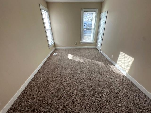 carpeted empty room featuring plenty of natural light