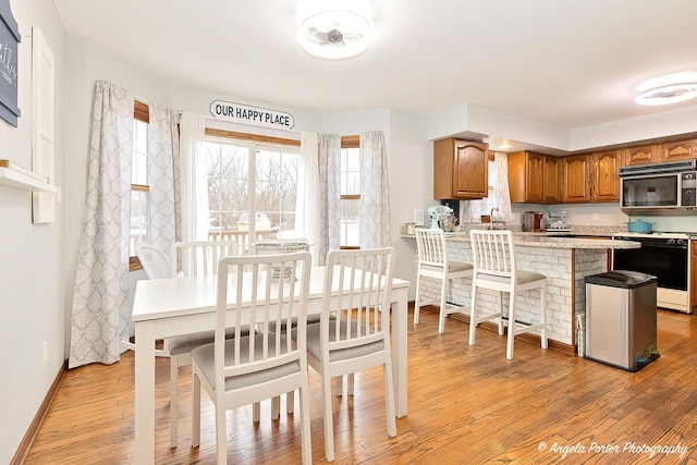 dining area with light hardwood / wood-style flooring