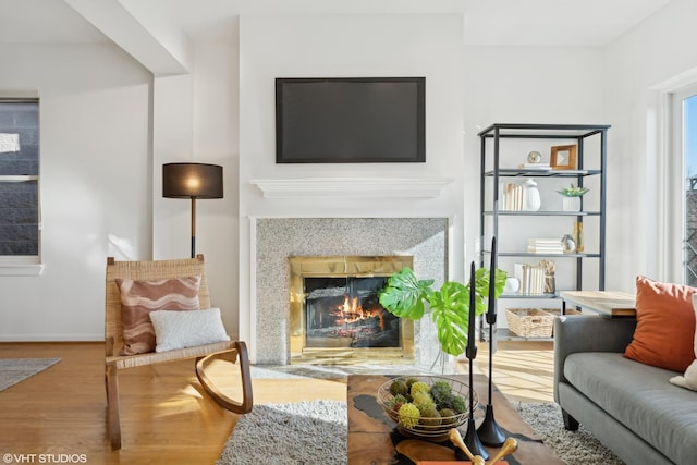 living room with wood-type flooring