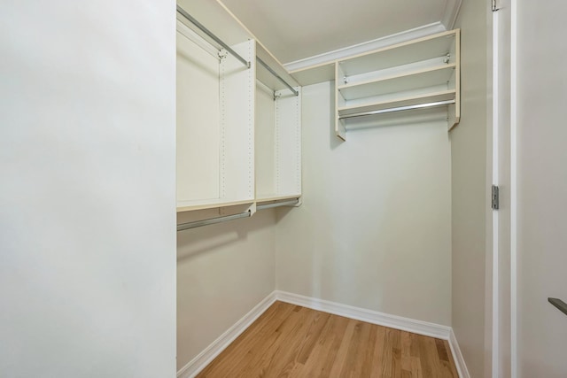 walk in closet with light wood-type flooring