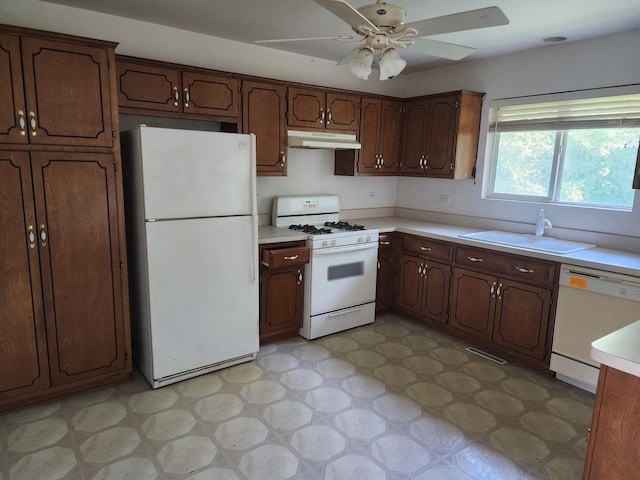 kitchen with dark brown cabinetry, ceiling fan, sink, and white appliances