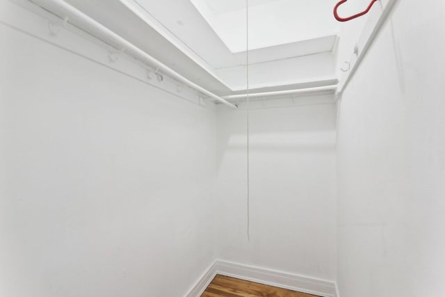 spacious closet featuring wood-type flooring