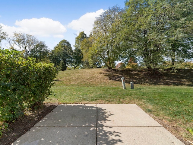 view of yard featuring a patio area