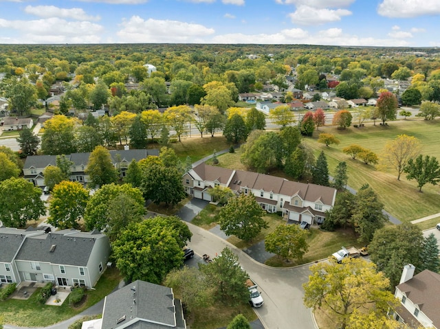 bird's eye view