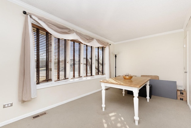 unfurnished office featuring ornamental molding and carpet floors