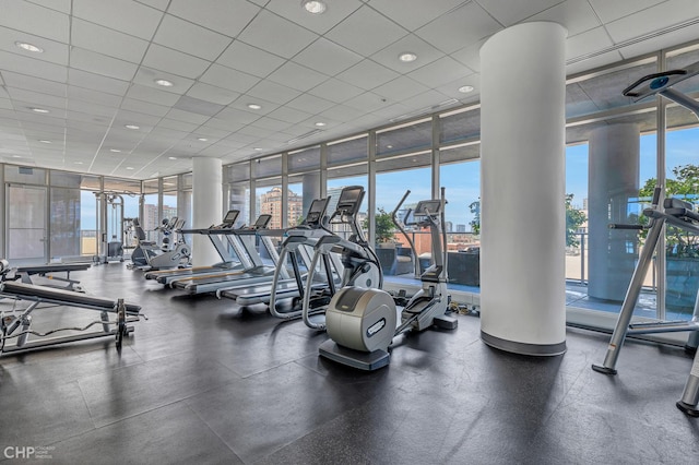 workout area with floor to ceiling windows, a drop ceiling, and a wealth of natural light