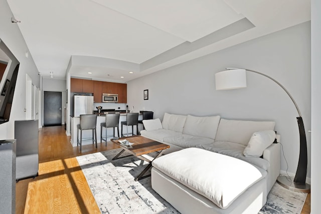 living room featuring light hardwood / wood-style flooring