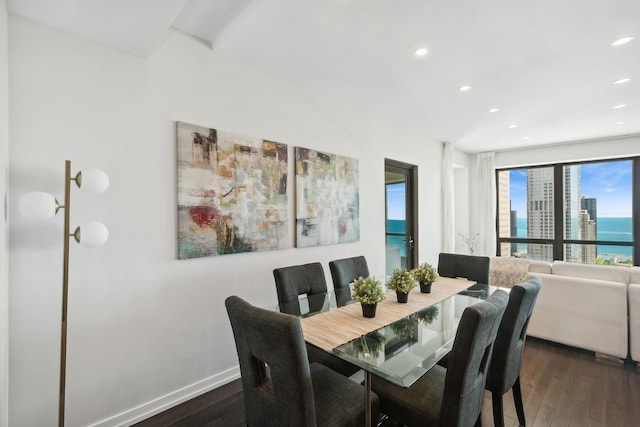 dining room featuring a water view and dark wood-type flooring