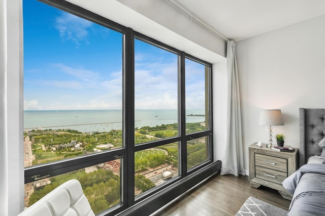 bedroom featuring a water view and dark hardwood / wood-style floors