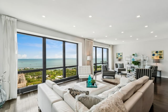 living room with a water view and dark wood-type flooring