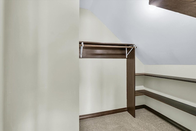 walk in closet featuring lofted ceiling and carpet