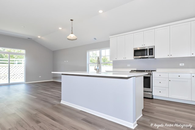 3921 Monica Ln Unit 6, Johnsburg, IL 60051
