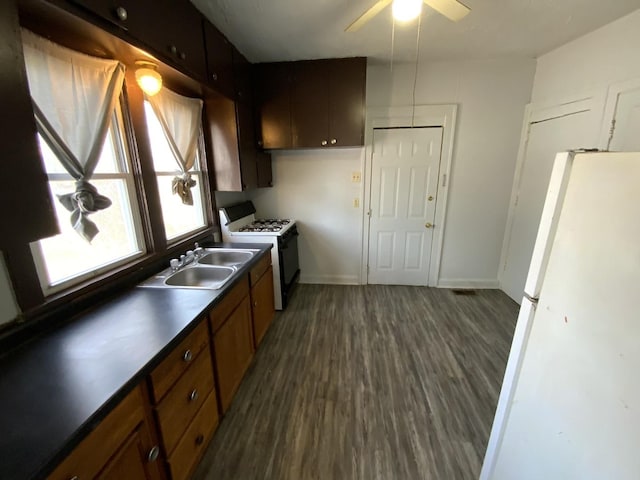 kitchen featuring sink, white appliances, ceiling fan, dark brown cabinets, and dark hardwood / wood-style floors