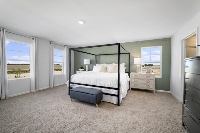 carpeted bedroom with multiple windows