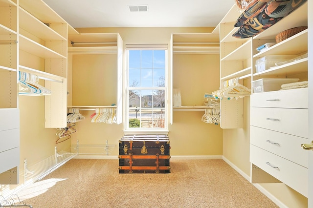 walk in closet featuring carpet