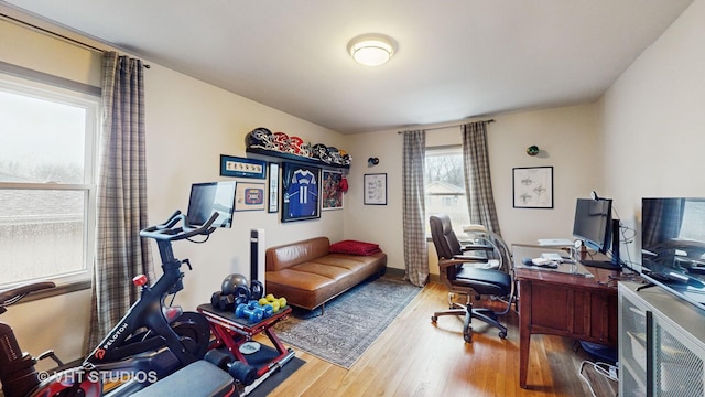 office area featuring wood-type flooring