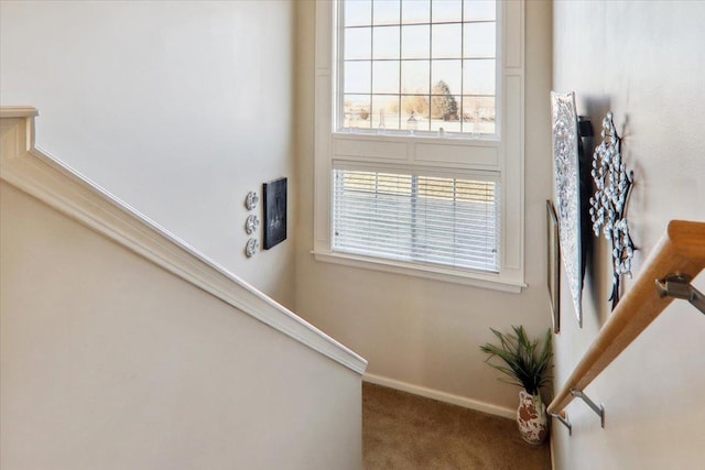 stairs with carpet floors