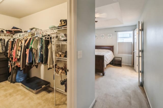 spacious closet featuring light colored carpet