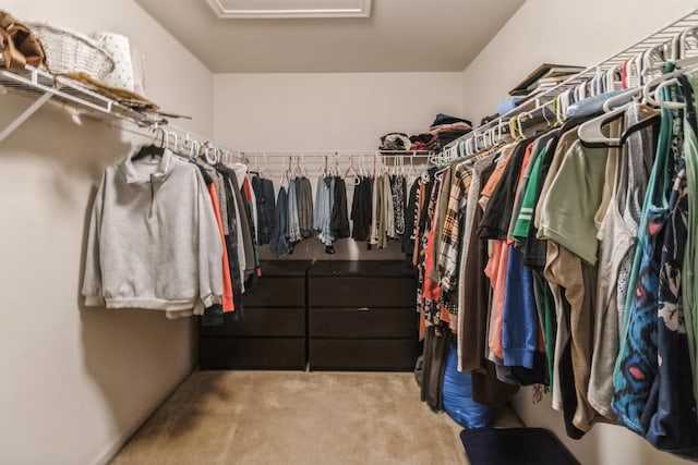 walk in closet with light carpet