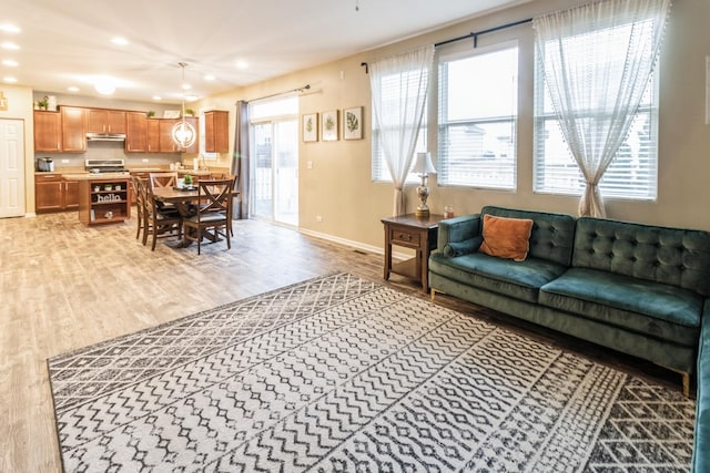 living room with light hardwood / wood-style floors