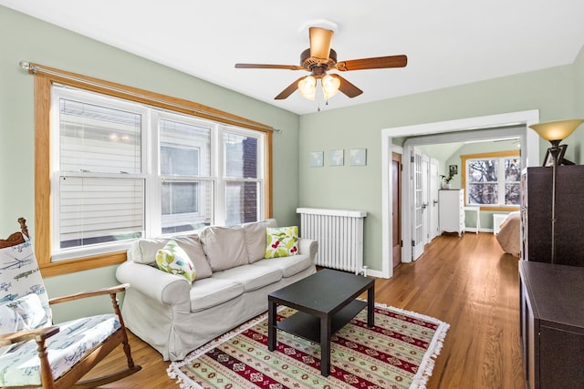 living room with hardwood / wood-style flooring, radiator, and ceiling fan