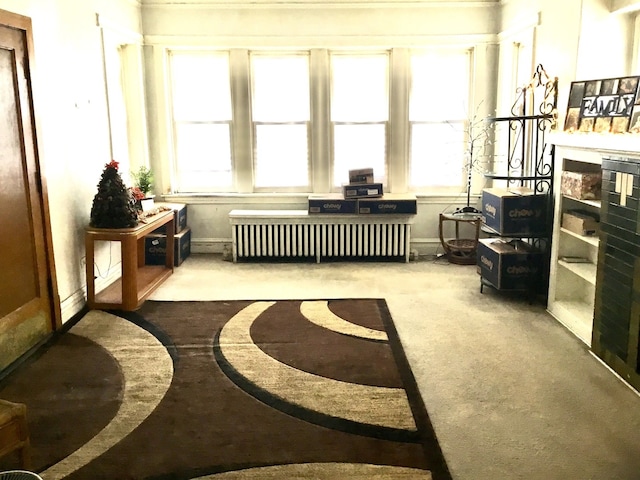 interior space featuring radiator