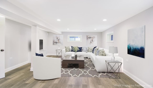 living room featuring hardwood / wood-style floors