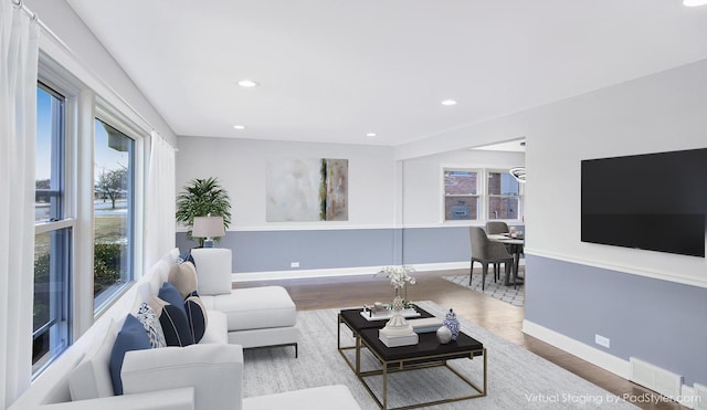 living room featuring wood-type flooring