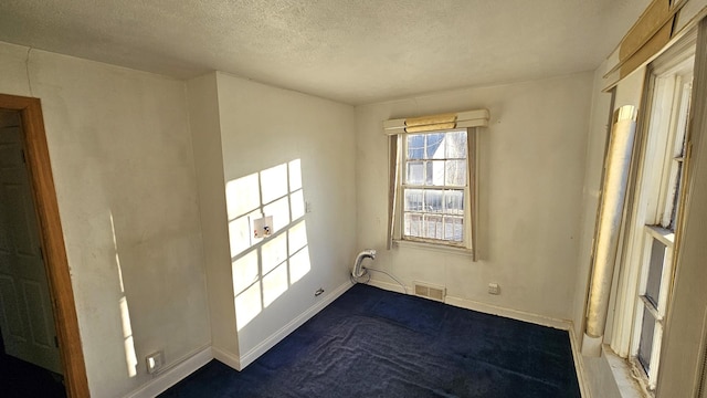 spare room with carpet flooring and a textured ceiling