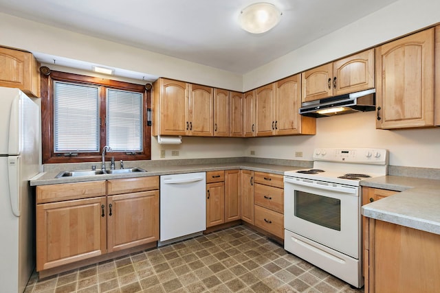 kitchen featuring dark floors, under cabinet range hood, white appliances, a sink, and light countertops