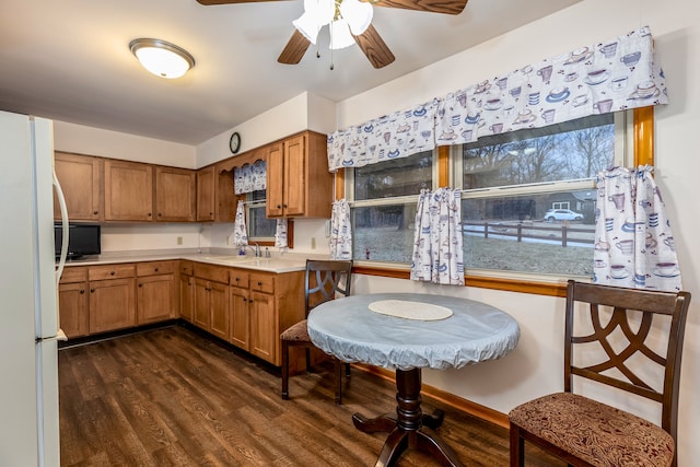 kitchen featuring sink, dark hardwood / wood-style floors, ceiling fan, and white fridge