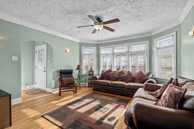 living room featuring crown molding, plenty of natural light, light hardwood / wood-style flooring, and a textured ceiling