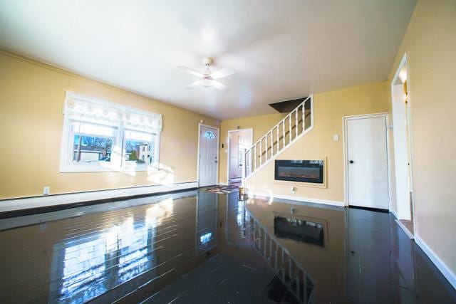 kitchen with ceiling fan and dark hardwood / wood-style flooring