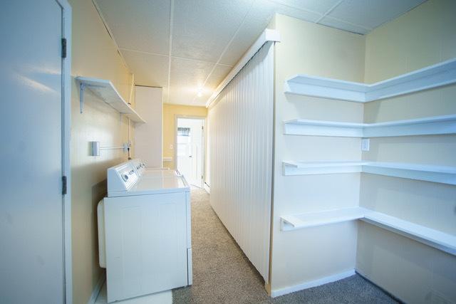 washroom with washer / clothes dryer and light colored carpet