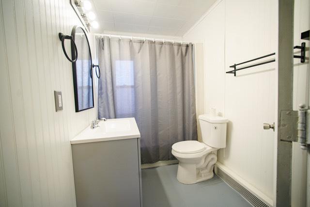 bathroom with vanity, walk in shower, and toilet