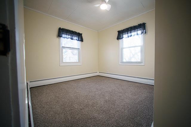 carpeted spare room with crown molding and a wealth of natural light