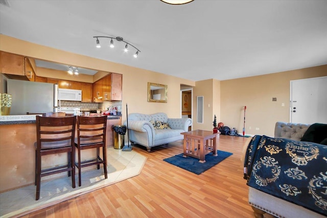 living room featuring light hardwood / wood-style flooring