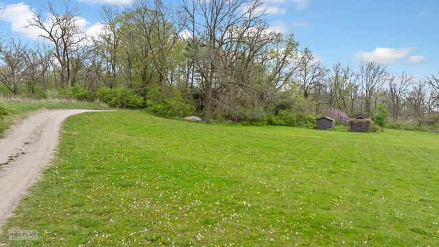 1026 State Route 25, Oswego, IL 60543 - view of yard featuring an outdoor structure, driveway, and a shed