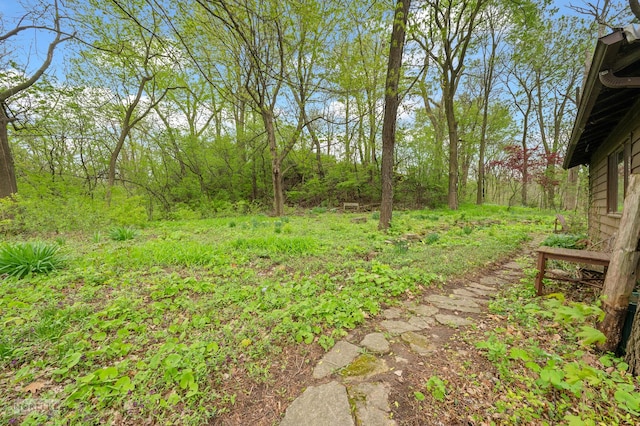 1026 State Route 25, Oswego, IL 60543 - view of yard