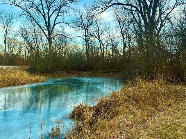 1026 State Route 25, Oswego, IL 60543 - property view of water