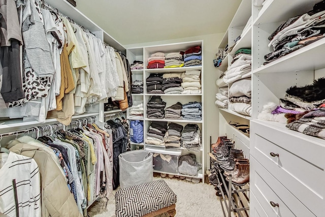 walk in closet featuring carpet flooring