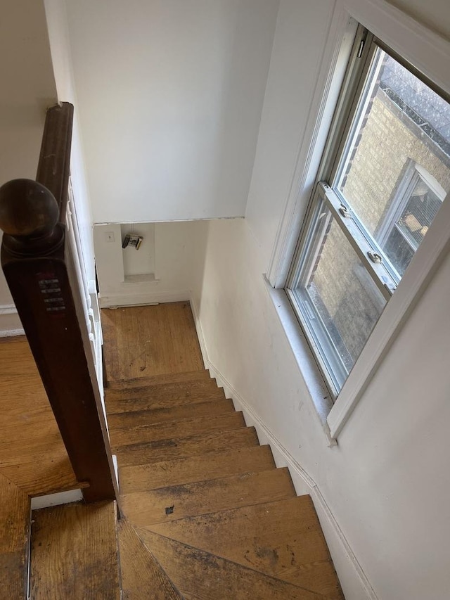 stairs with wood-type flooring