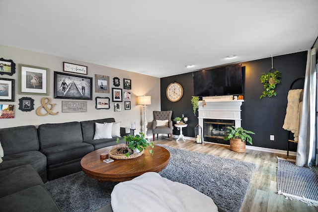 living room with wood-type flooring