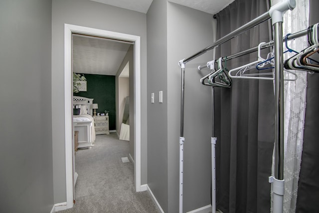 walk in closet featuring carpet flooring