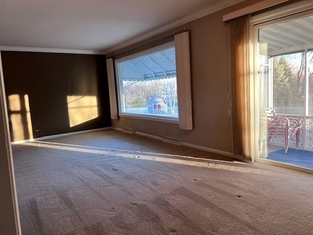 spare room featuring ornamental molding and carpet