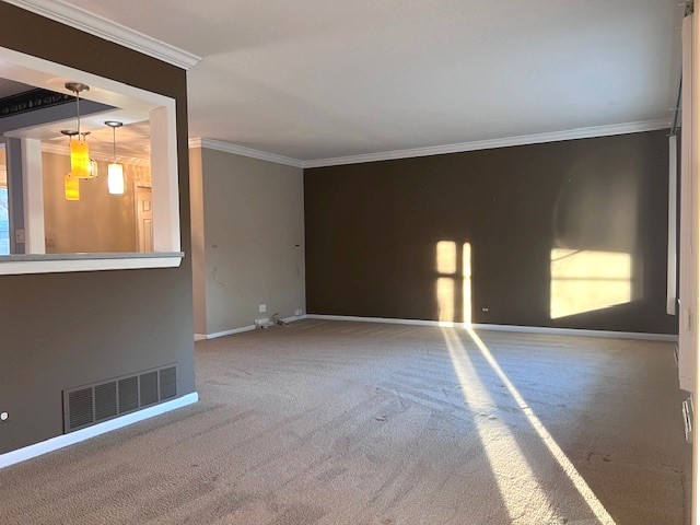 carpeted spare room featuring ornamental molding