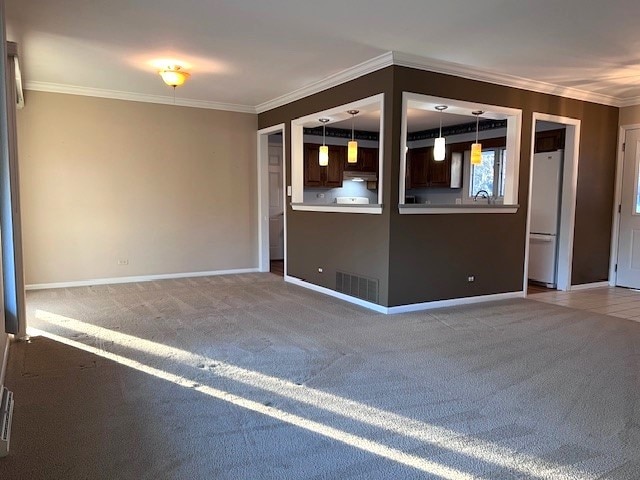 carpeted empty room with sink and ornamental molding